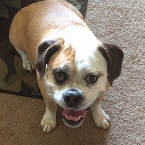 Meet your Posher, Heather